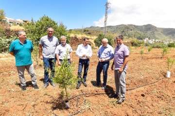 Plantación de 4.400 almendreros, nogales, higueras y olivos en Valsequillo (Foto TA)